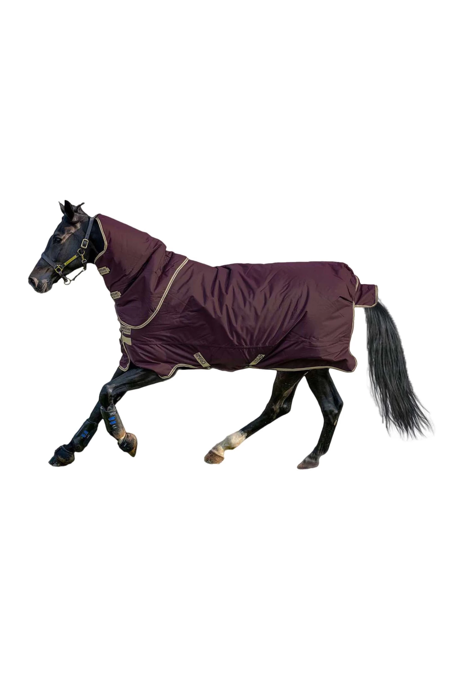 Horseware Amigo Hero Ripstop Plus Regendecke Mit Abnehmbarem Halsteil, 100g – Bild 2