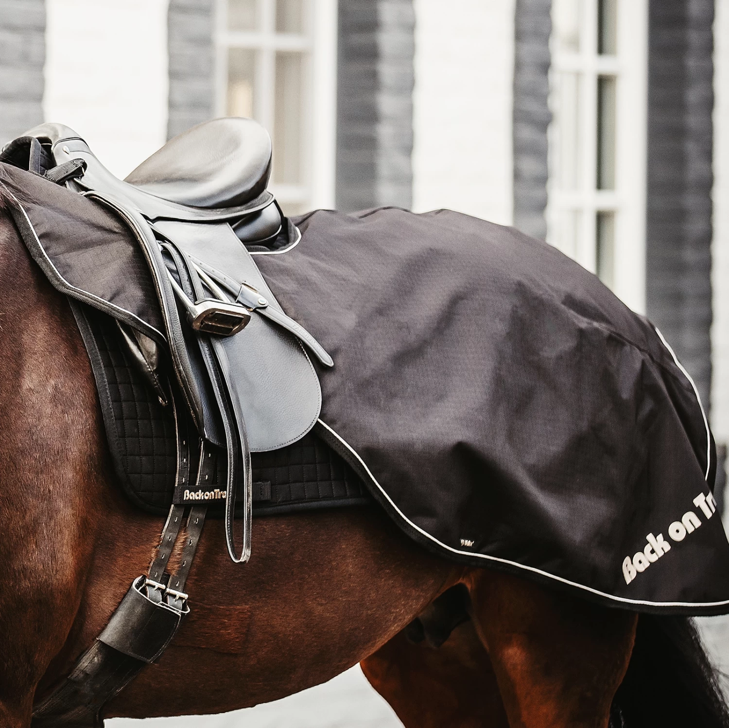 Back On Track Sammy Ausreitdecke, 50g – Bild 4