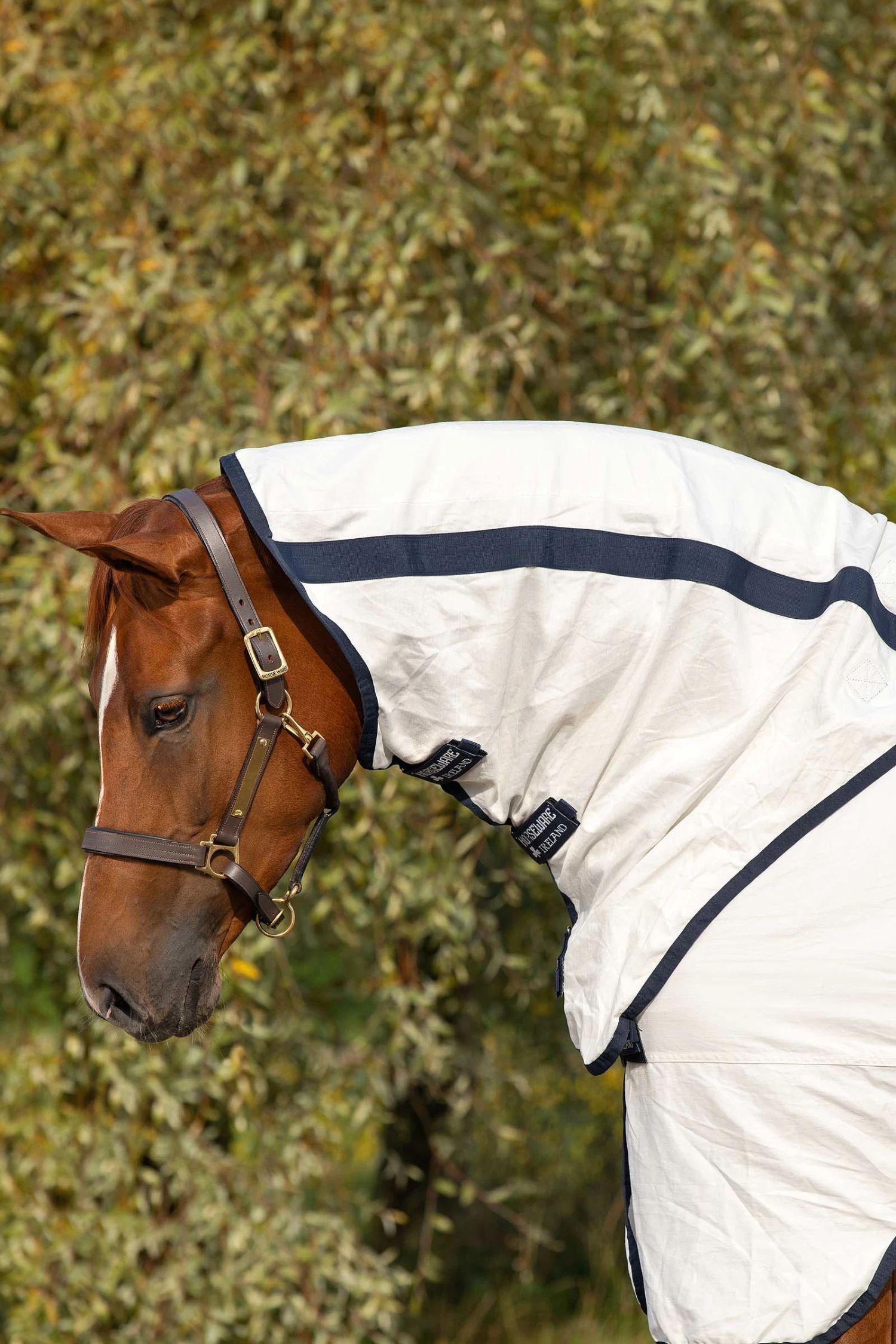 Horseware Rambo Natura Fliegendecke – Bild 5