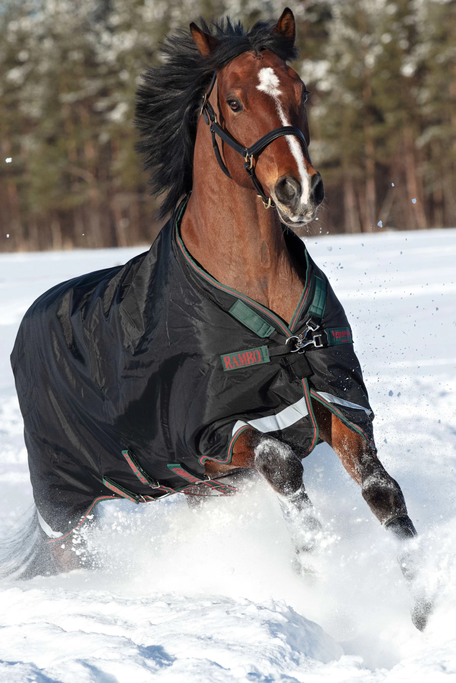 Horseware Rambo Original Weidedecke Mit Beinausschnitt, 200g