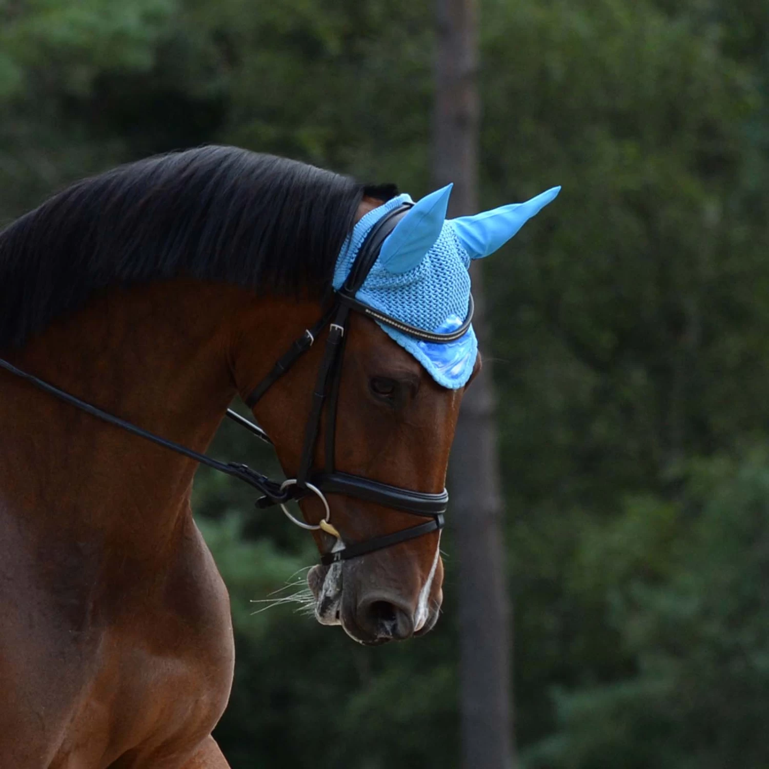 Weatherbeeta Prime Marble Fliegenhaube – Bild 4