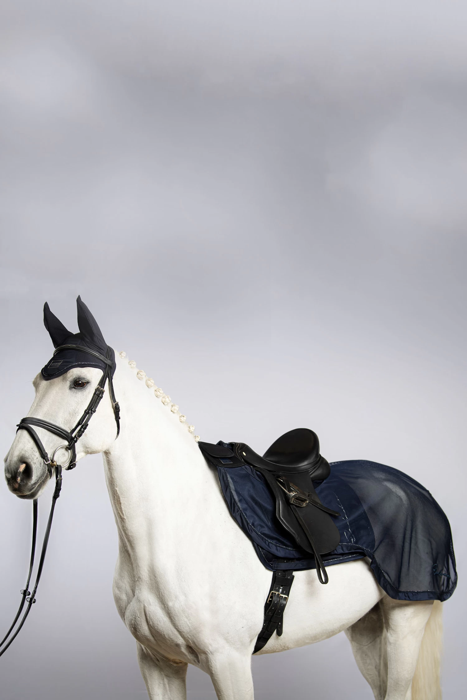 Eskadron Classic Sports FS22 Fly Exercise Ausreitdecke – Bild 2