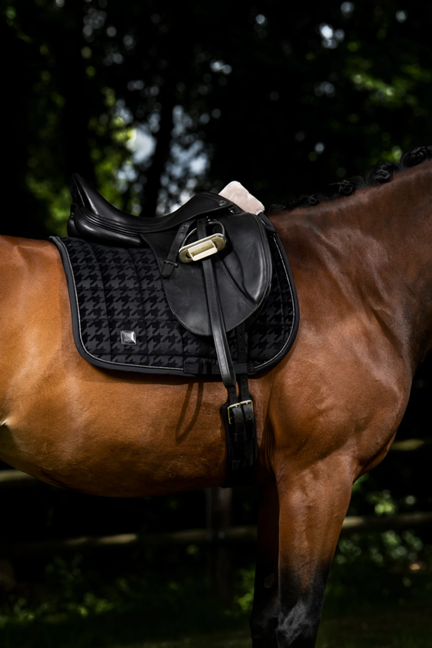 Eskadron Essence 22/23 Velvet Stamp Dressurschabracke – Bild 2