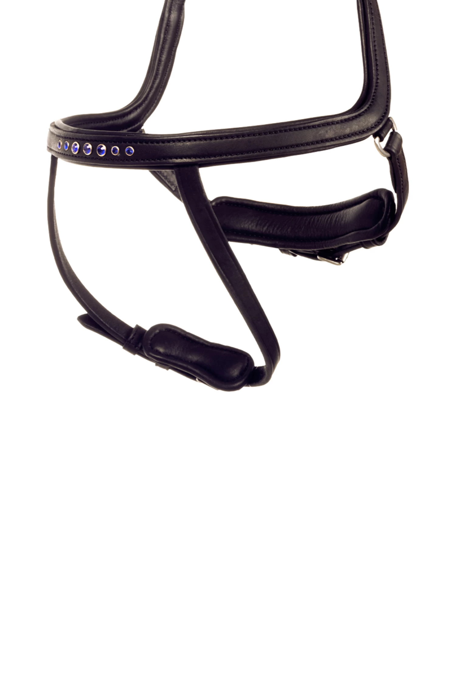 Kavalkade Kóngablár Ivy Reithalfter Für Aradis Islandtrense