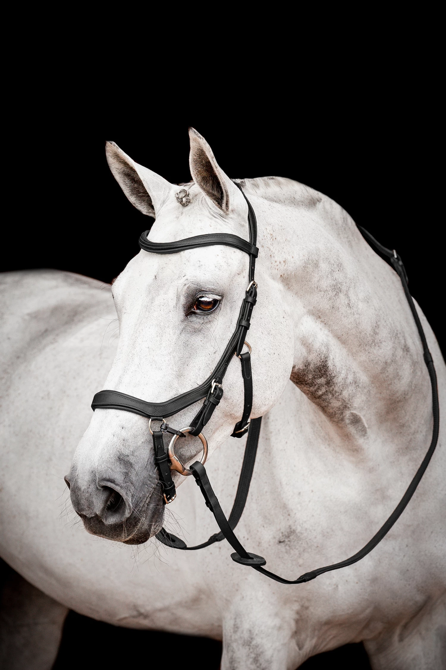 Horseware Rambo Micklem 2 Diamante Competition Trense Mit Zügeln