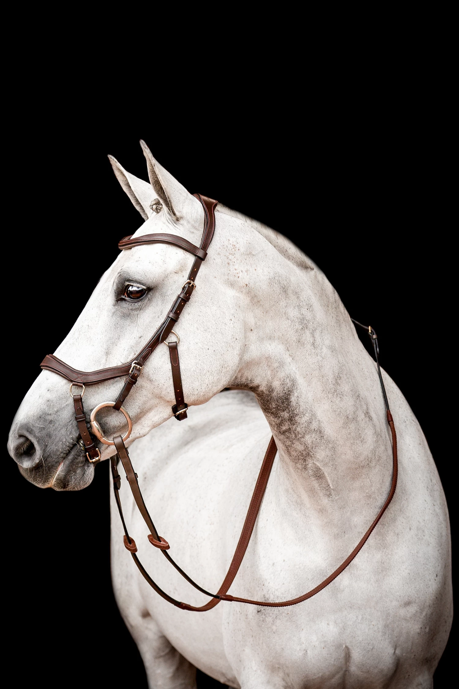 Horseware Rambo Micklem 2 Diamante Competition Trense Mit Zügeln – Bild 3