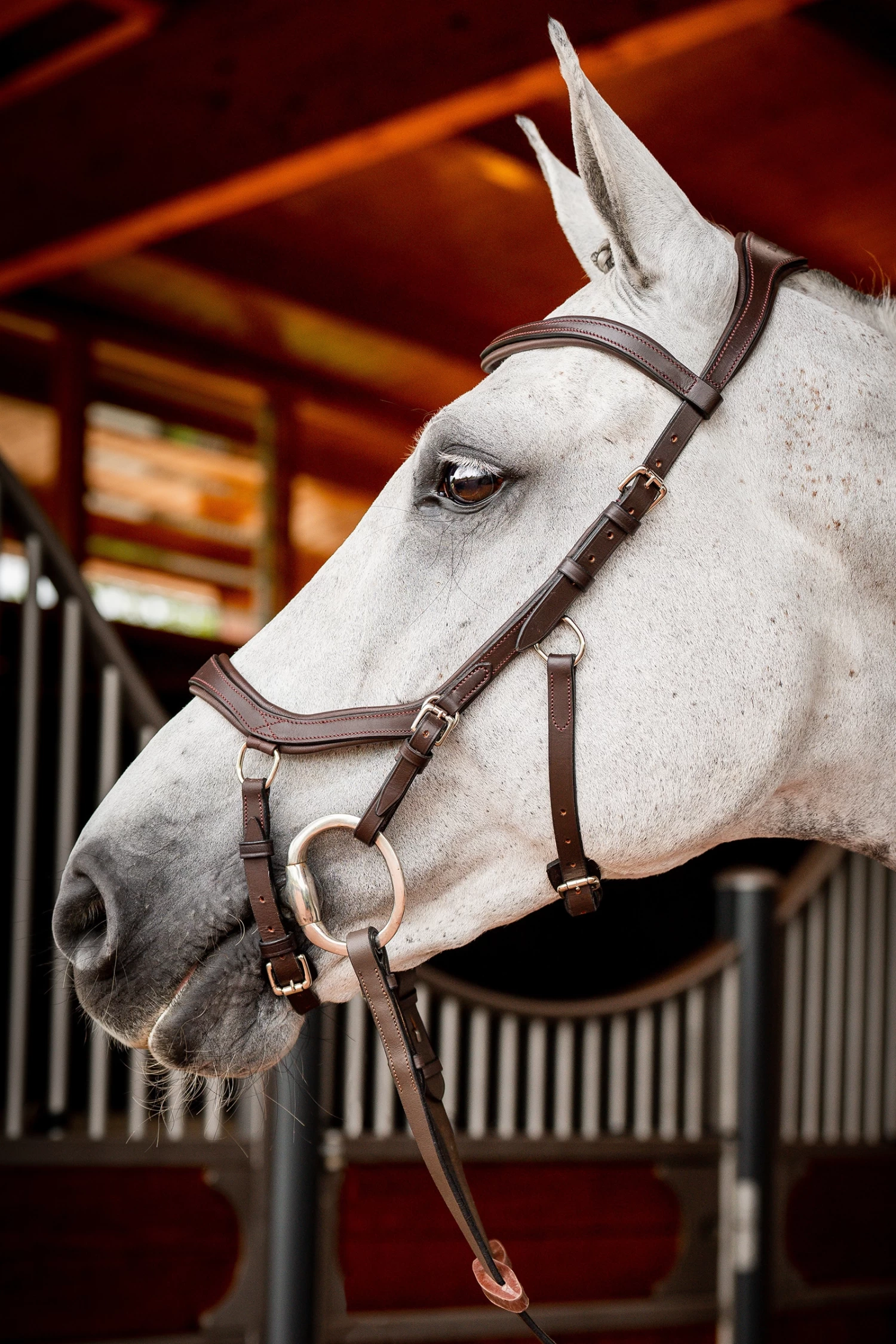 Horseware Rambo Micklem 2 Diamante Competition Trense Mit Zügeln – Bild 4