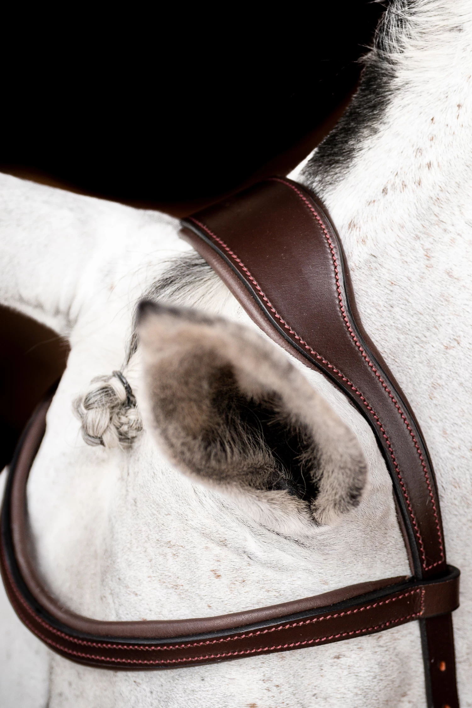 Horseware Rambo Micklem 2 Diamante Competition Trense Mit Zügeln – Bild 5