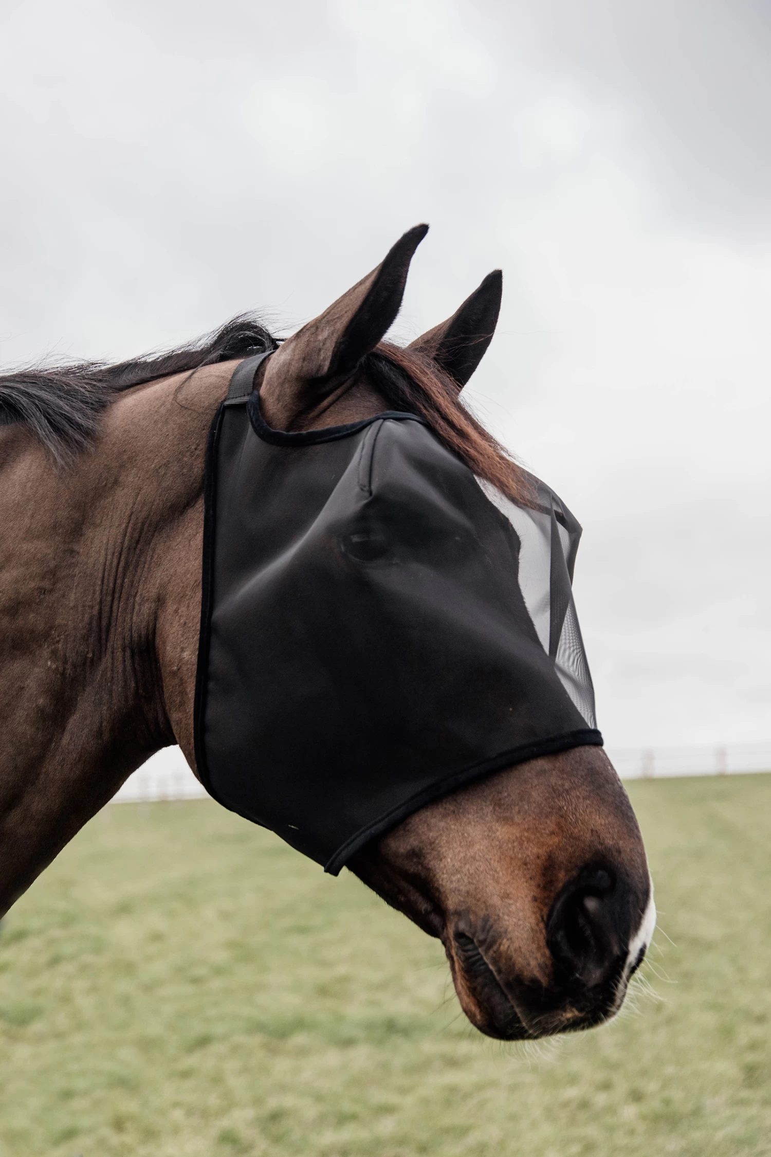 Kentucky Horsewear Classic Fliegenmaske Ohne Ohren – Bild 5