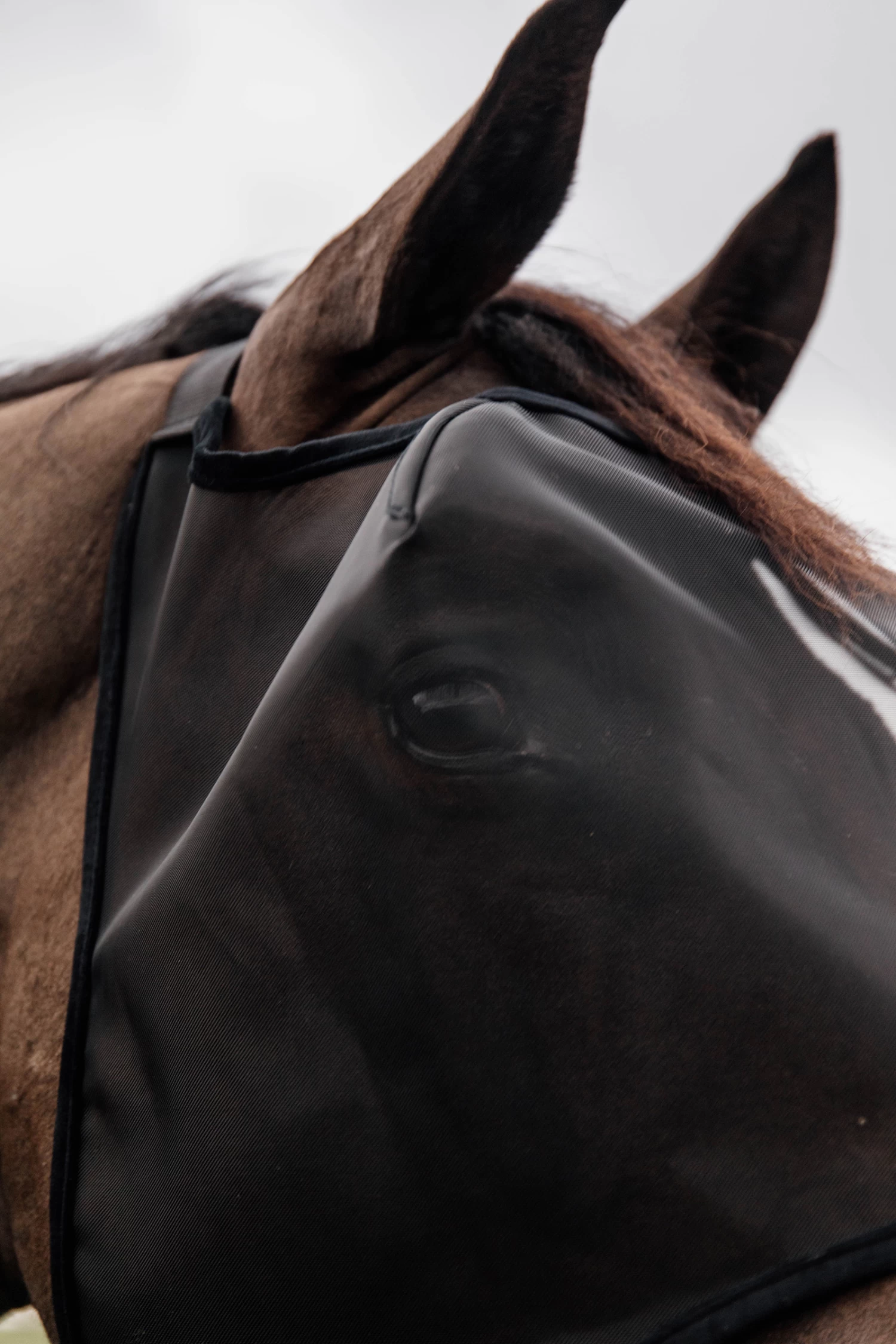 Kentucky Horsewear Classic Fliegenmaske Ohne Ohren – Bild 6